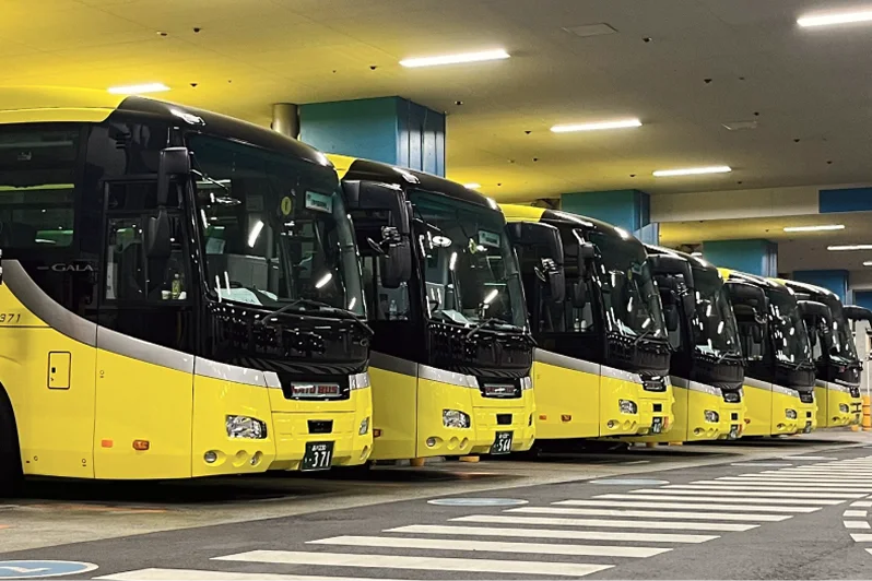 Buses